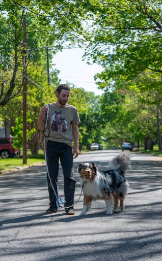 Active Dogs of Asheville trainer