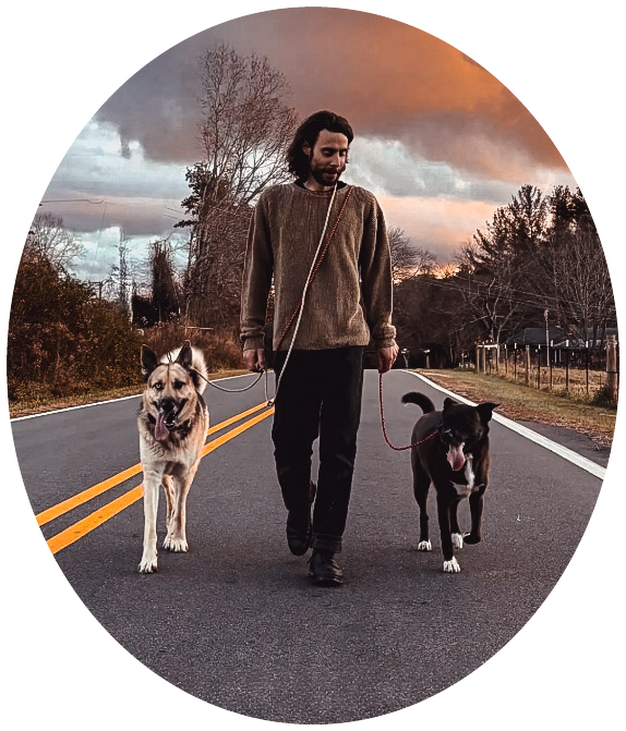 Active Dogs of Asheville trainer