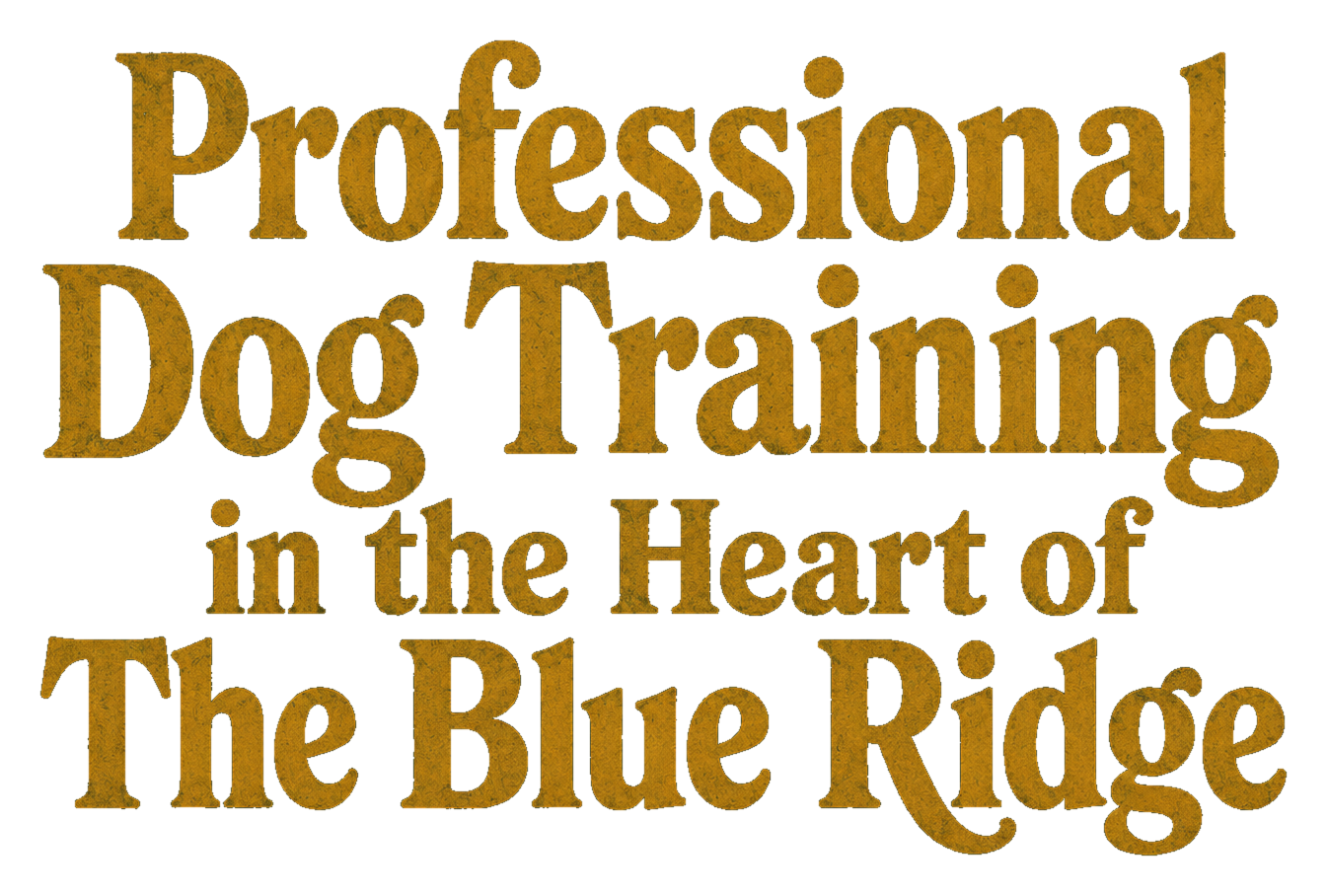 Active Dogs of Asheville